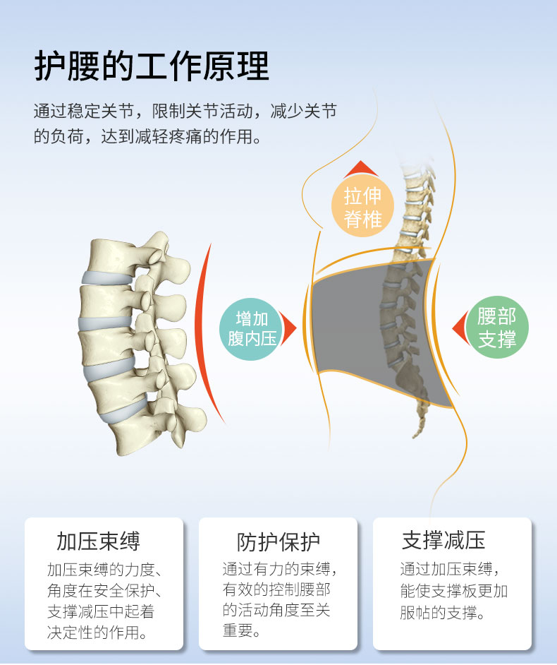 夏季护腰_常州普邦医疗设备